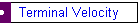 Terminal Velocity