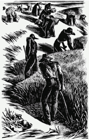 English Diggers images