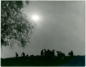 English Diggers images