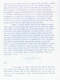 Angels of Light photo image