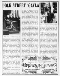 Angels of Light photo image