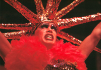 Angels of Light photo image