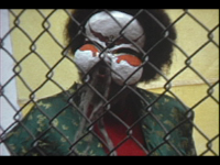 Angels of Light photo image