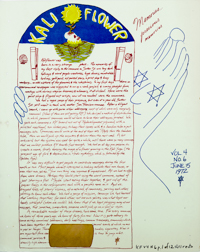 Angels of Light photo image