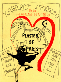 Angels of Light photo image