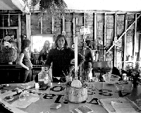 Angels of Light photo image