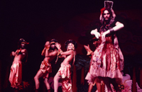 Angels of Light collage