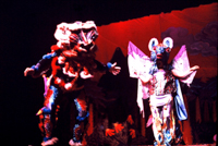 Angels of Light collage