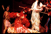 Angels of Light collage