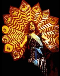 Angels of Light photo image