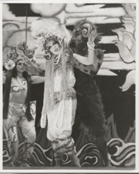 Angels of Light photo image