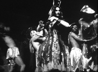 Angels of Light collage