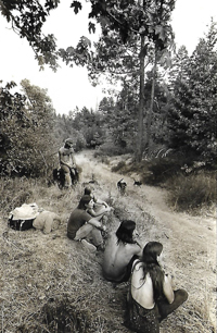Angels of Light collage