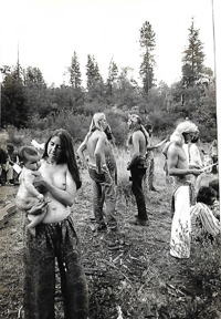 Angels of Light collage